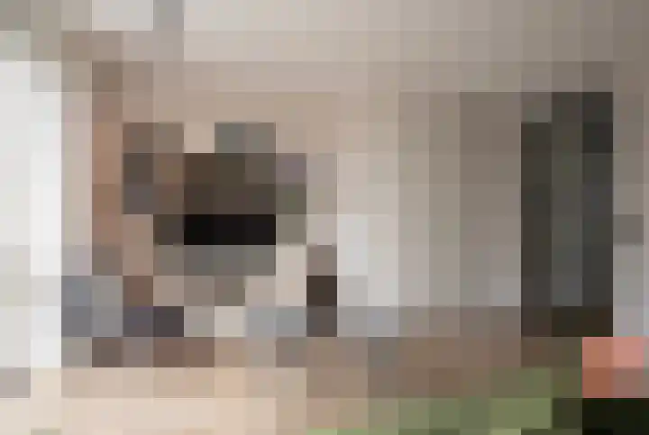 Korenbloemdreef 6 Harderwijk thumbnail 6