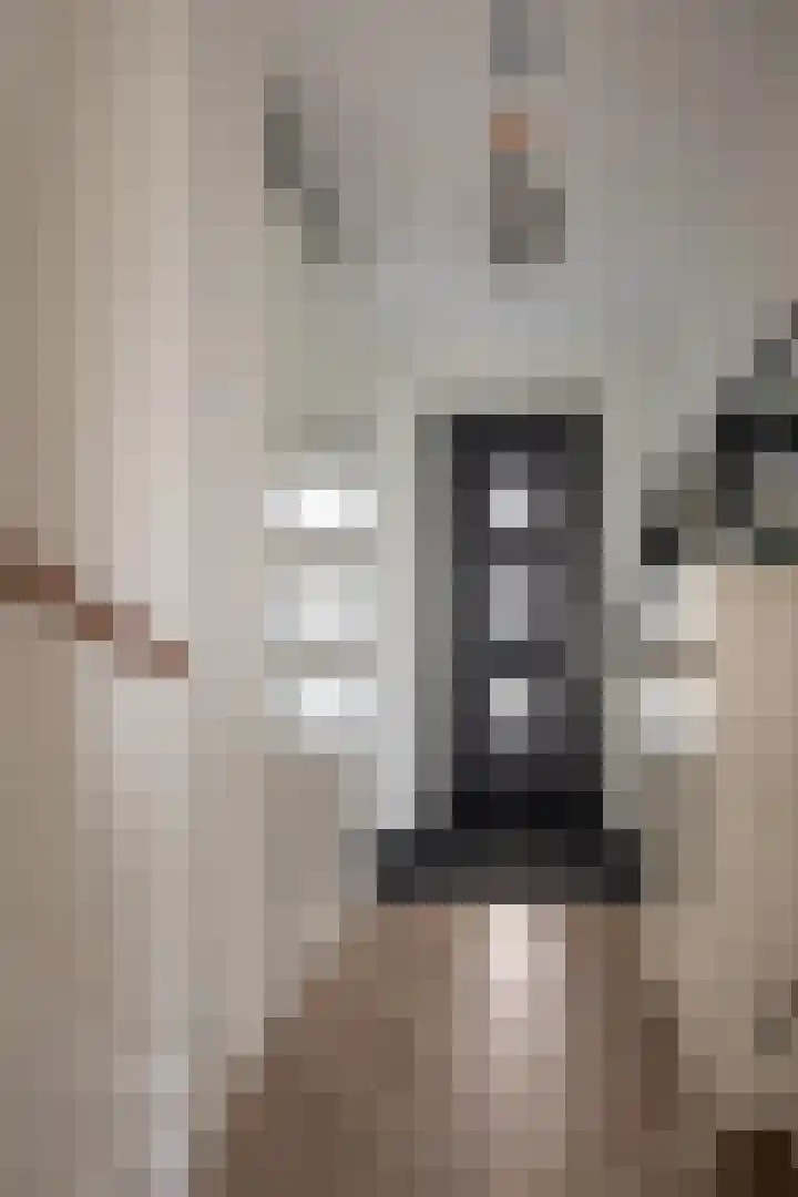 Korenbloemdreef 6 Harderwijk thumbnail 9