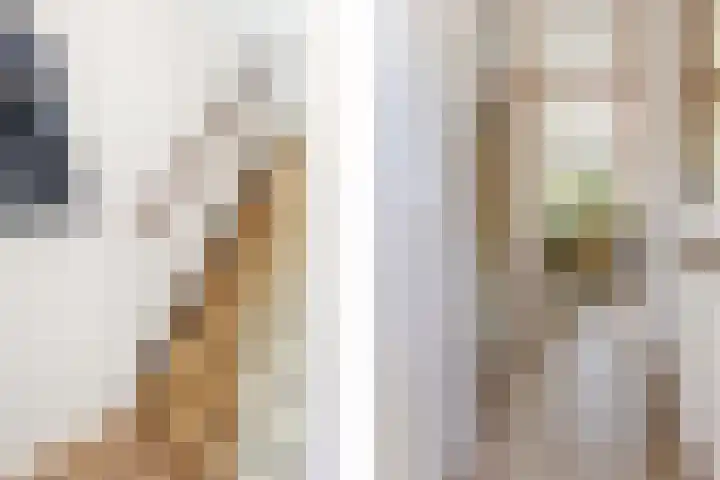 Korenbloemkamp 5 Leiderdorp thumbnail 11