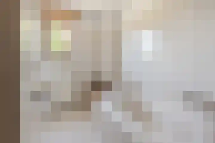 Korenbloemkamp 5 Leiderdorp thumbnail 15