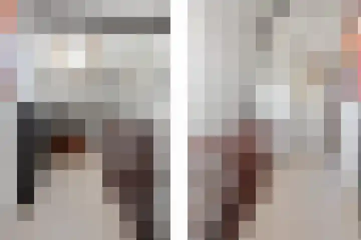 Korenbloemkamp 5 Leiderdorp thumbnail 21