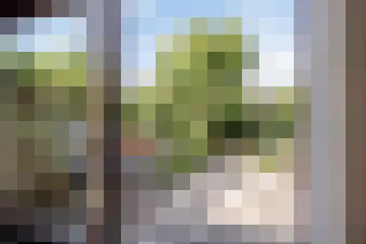Korenbloemkamp 5 Leiderdorp thumbnail 22