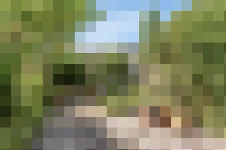 Korenbloemkamp 5 Leiderdorp thumbnail 23