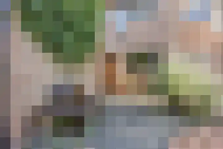 Korenbloemkamp 5 Leiderdorp thumbnail 26