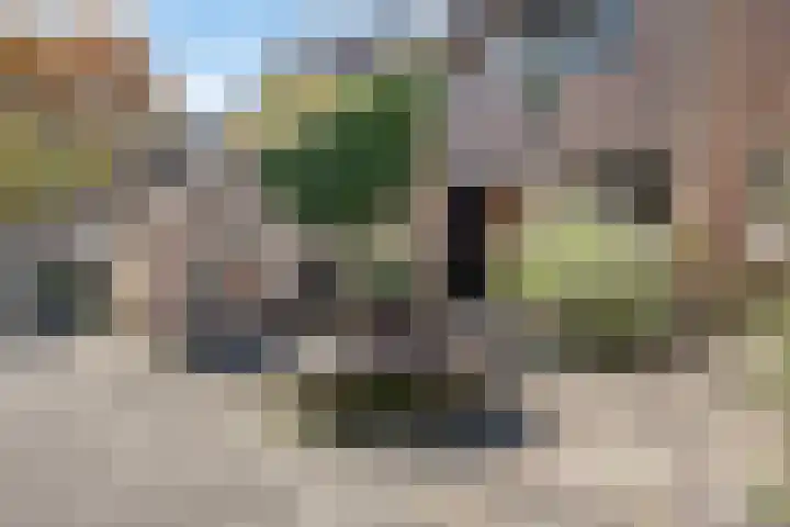Korenbloemkamp 5 Leiderdorp thumbnail 27