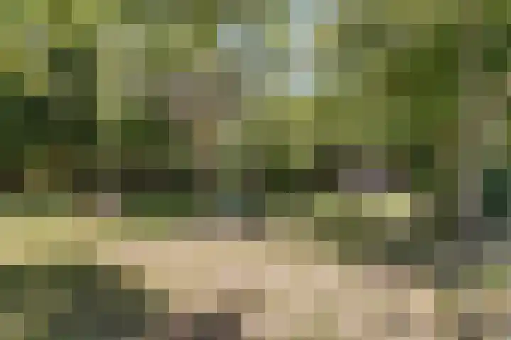 Korenbloemkamp 5 Leiderdorp thumbnail 32