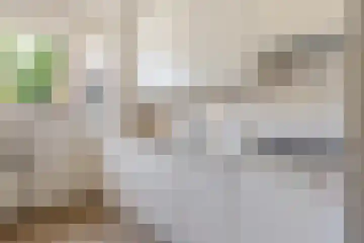 Korenbloemkamp 5 Leiderdorp thumbnail 8