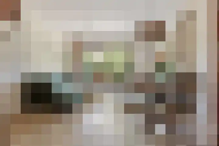 Korenbloemkamp 5 Leiderdorp thumbnail 9