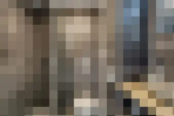 Korenbloemlaan 12 Valkenburg thumbnail 26