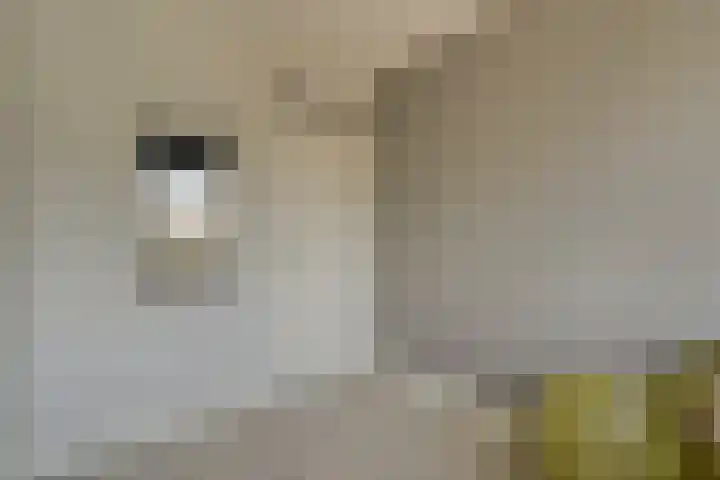 Korenbloemlaan 12 Valkenburg thumbnail 31