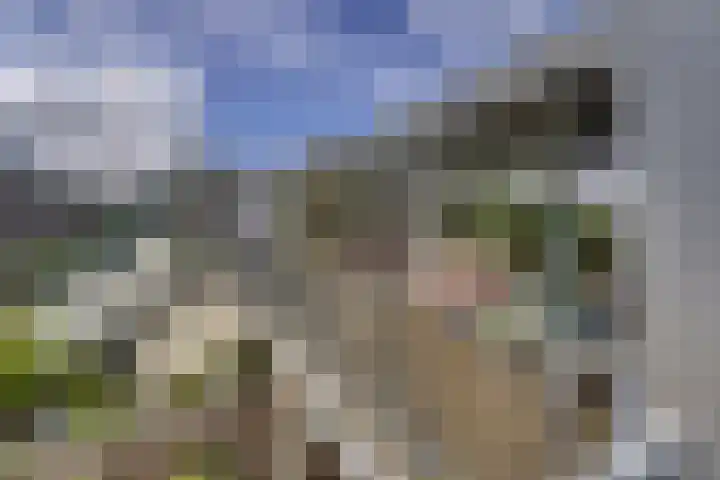 Korenbloemlaan 12 Valkenburg thumbnail 33