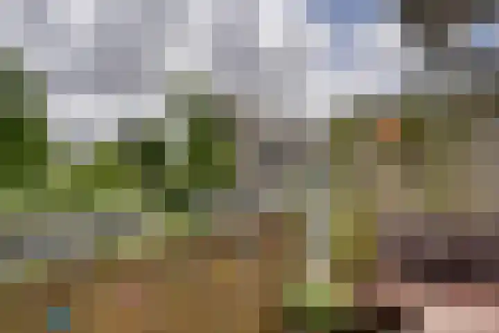 Korenbloemlaan 12 Valkenburg thumbnail 4