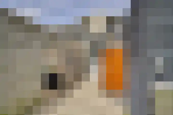 Korenbloemlaan 12 Valkenburg thumbnail 6