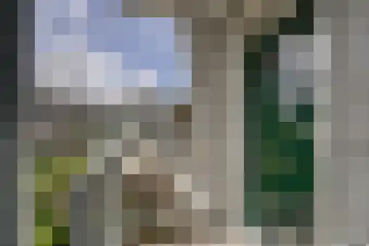 Korenbloemlaan 12 Valkenburg thumbnail 8