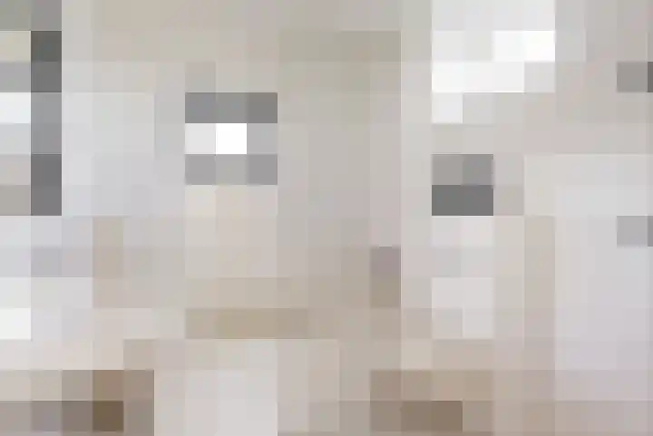 Korenbloemlaan 14 Amstelveen thumbnail 22