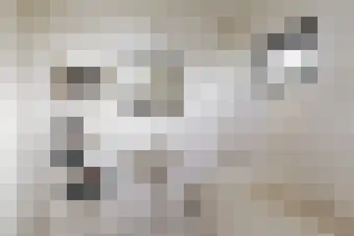 Korenbloemlaan 14 Amstelveen thumbnail 24