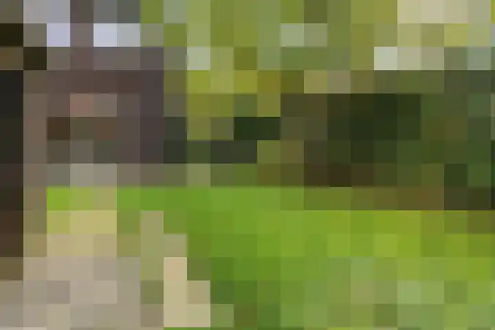 Korenbloemlaan 14 Amstelveen thumbnail 29