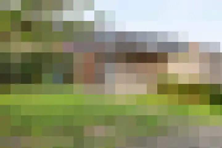 Korenbloemlaan 14 Amstelveen thumbnail 32
