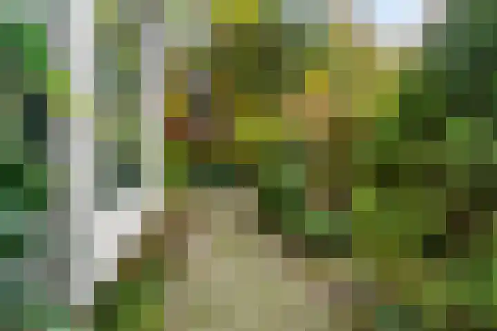 Korenbloemlaan 14 Amstelveen thumbnail 33