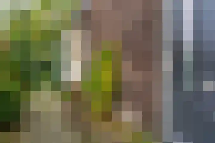 Korenbloemlaan 14 Amstelveen thumbnail 34