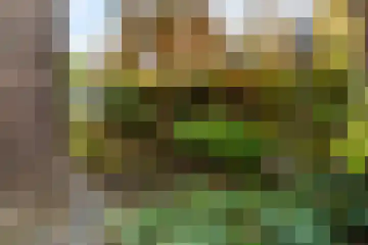 Korenbloemlaan 14 Amstelveen thumbnail 35