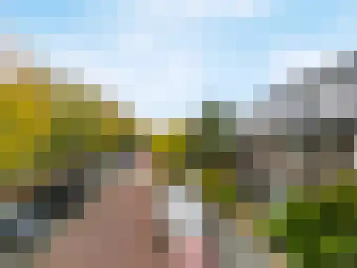 Korenbloemlaan 14 Amstelveen thumbnail 36