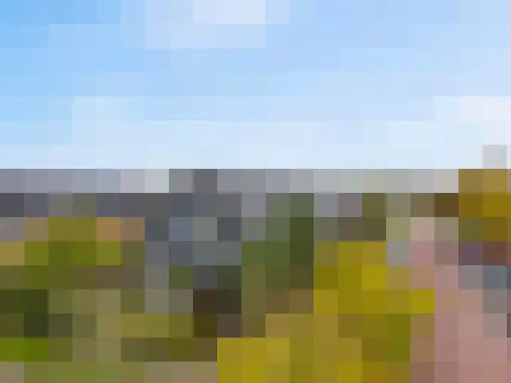 Korenbloemlaan 14 Amstelveen thumbnail 37