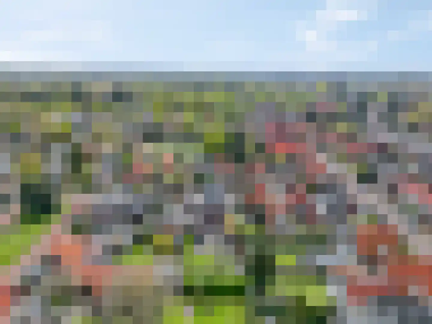 Korenbloemlaan 14 Ede thumbnail 100