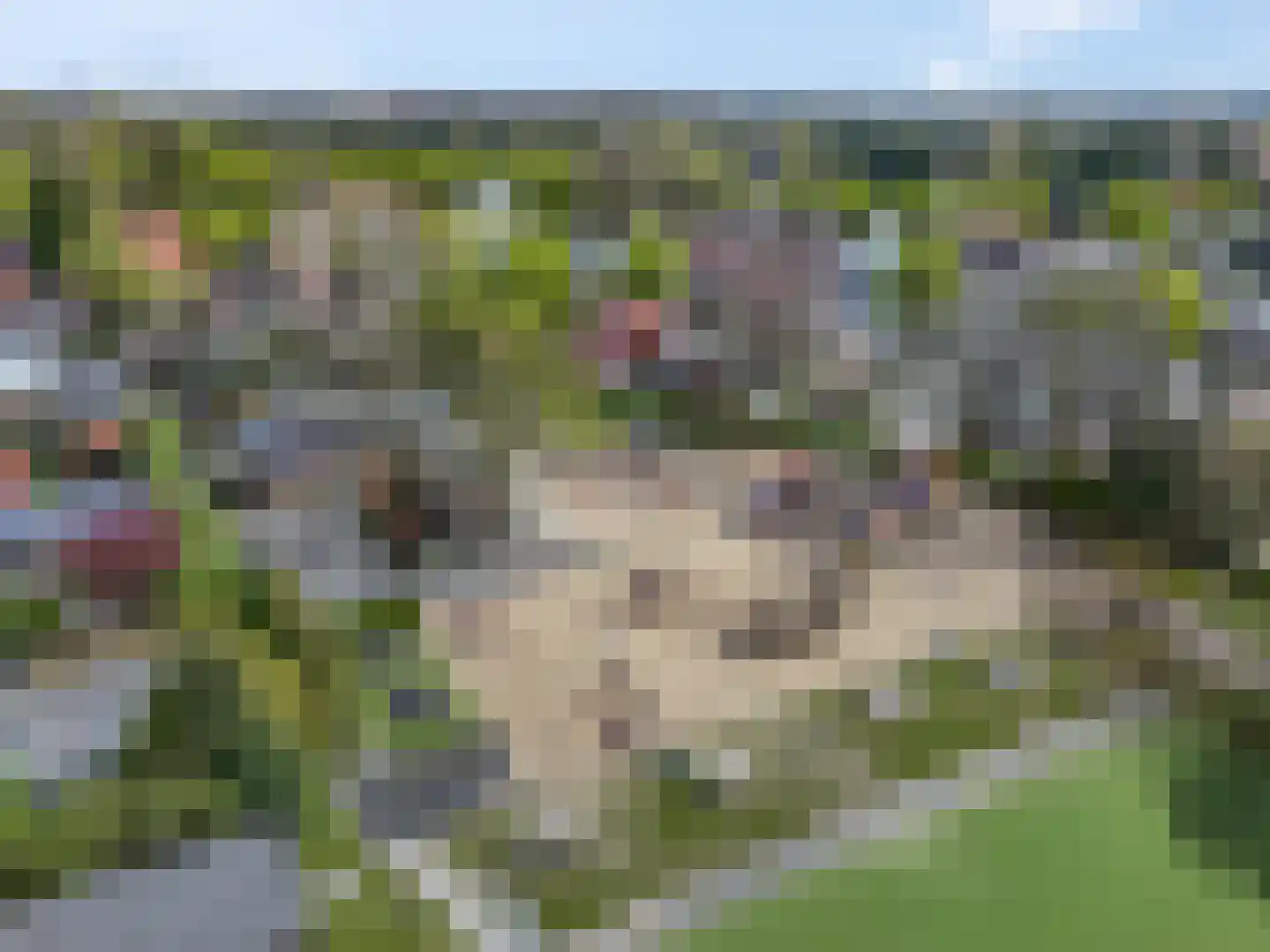 Korenbloemlaan 14 Ede thumbnail 103