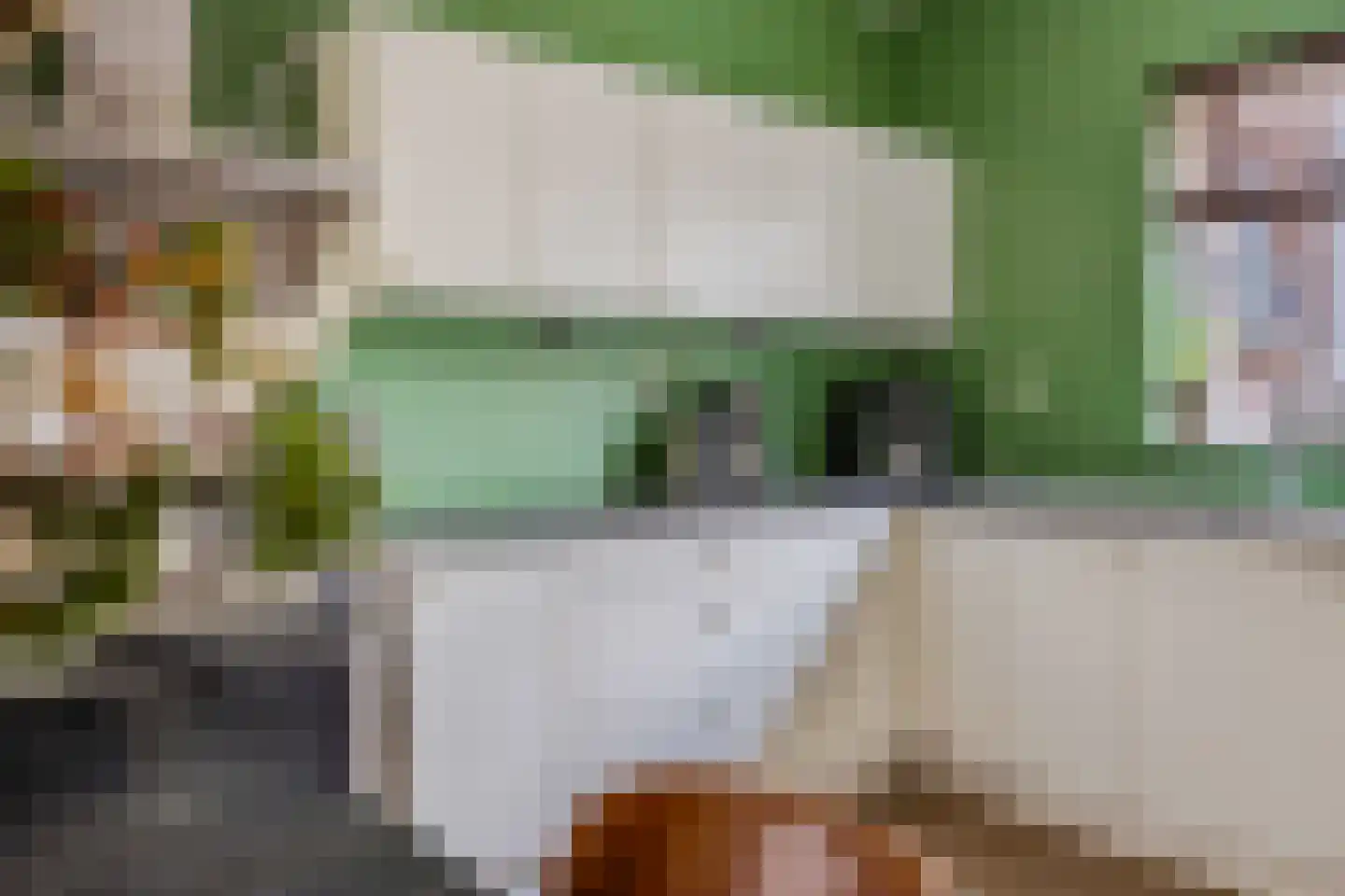 Korenbloemlaan 14 Ede thumbnail 11