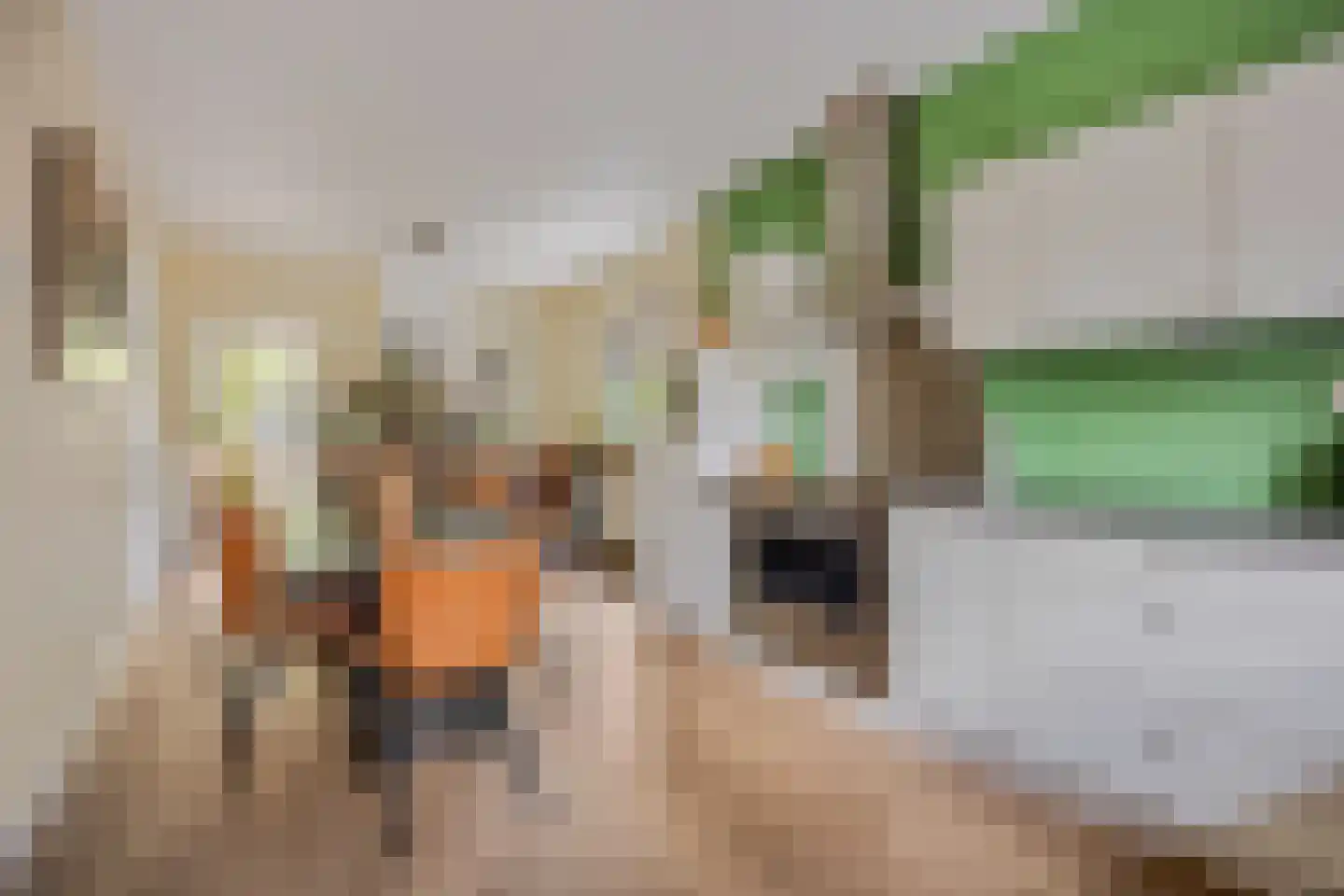 Korenbloemlaan 14 Ede thumbnail 12