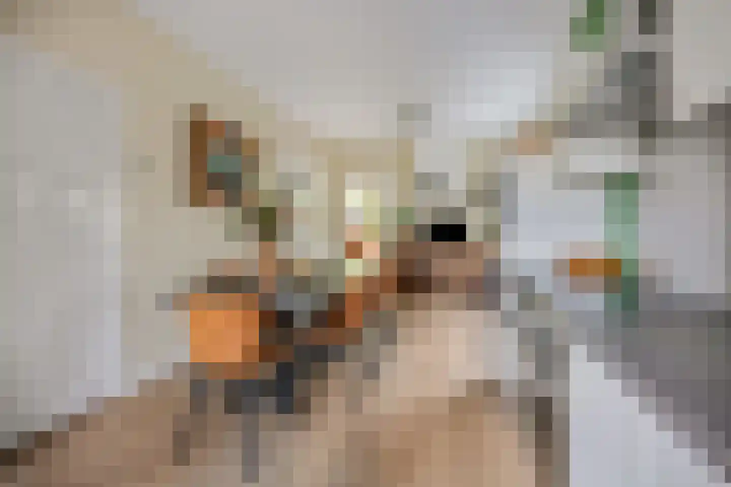 Korenbloemlaan 14 Ede thumbnail 13