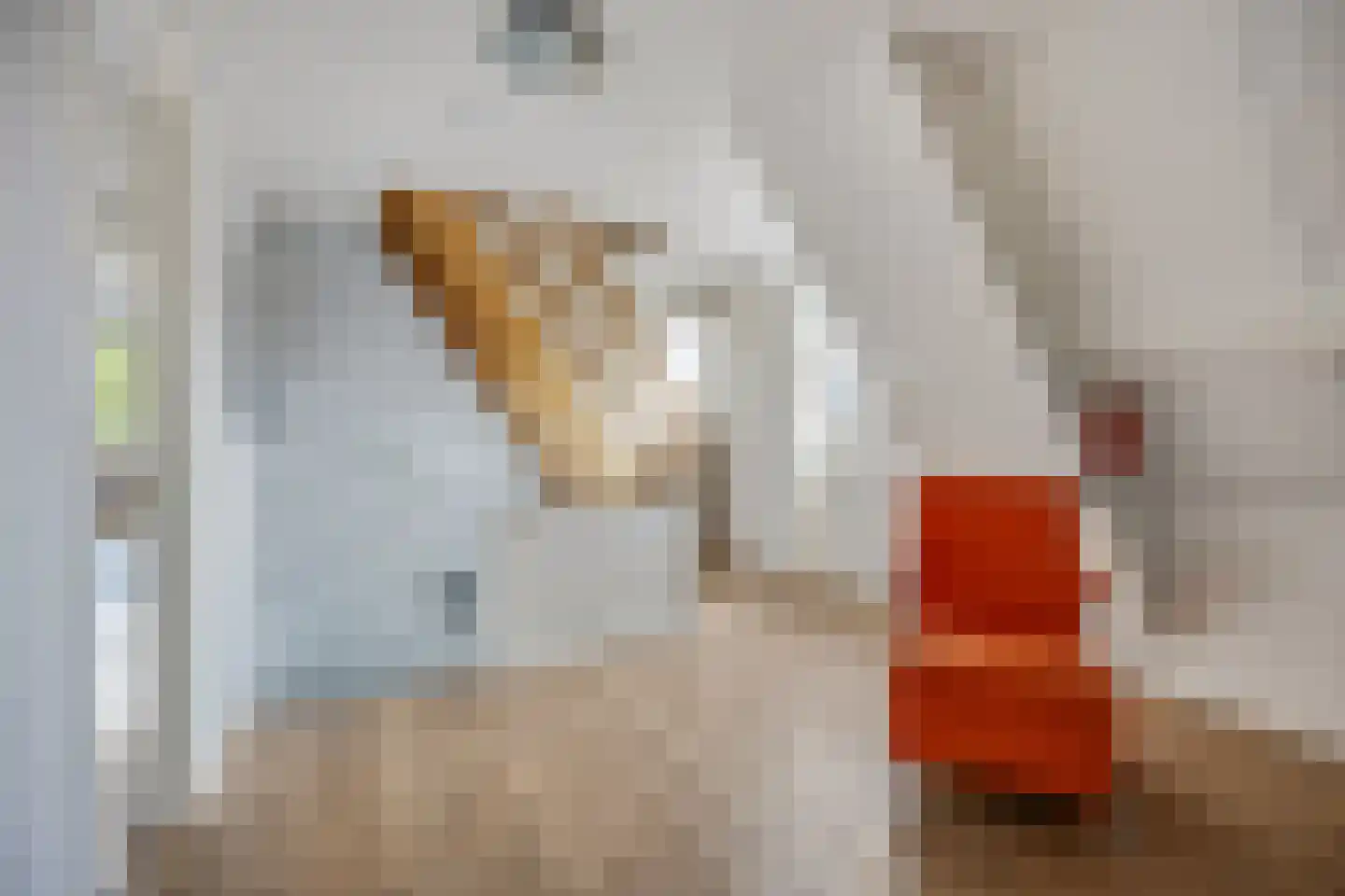 Korenbloemlaan 14 Ede thumbnail 22