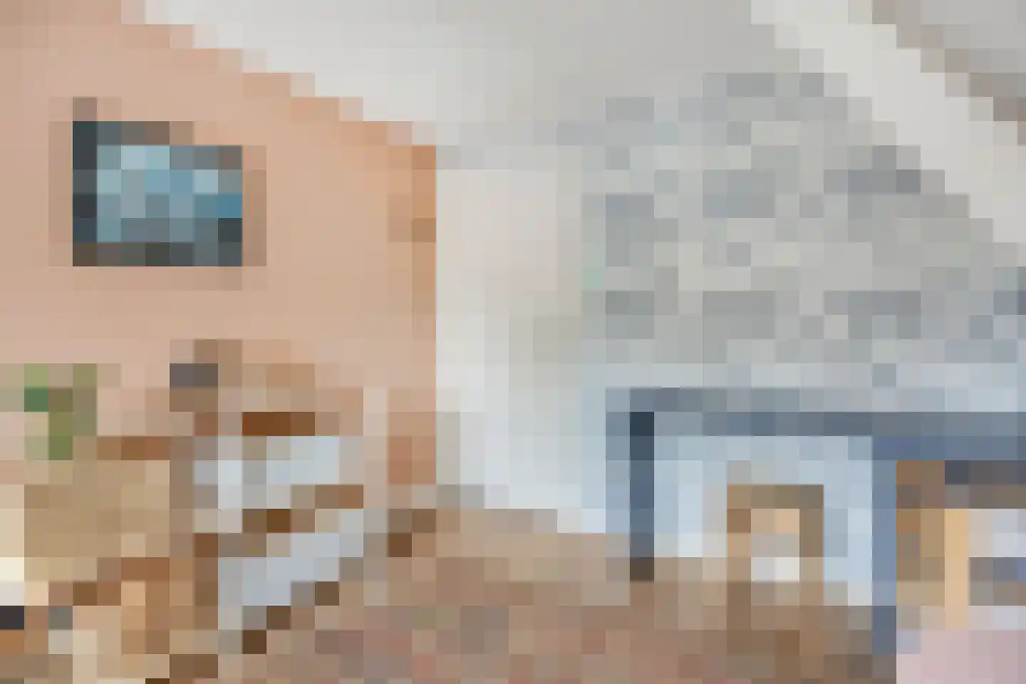 Korenbloemlaan 14 Ede thumbnail 24