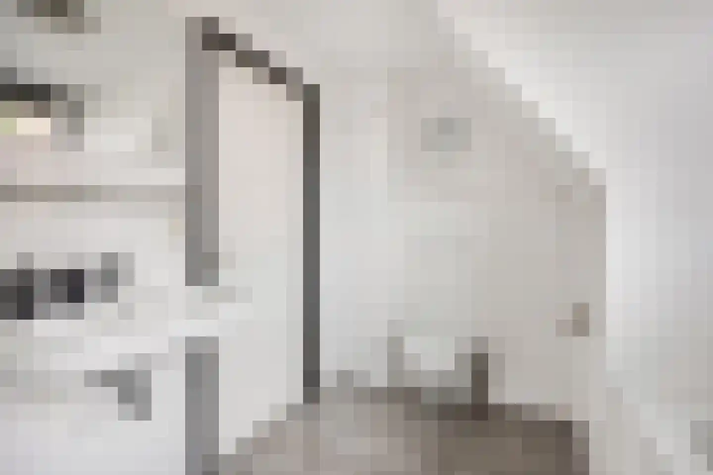 Korenbloemlaan 14 Ede thumbnail 33