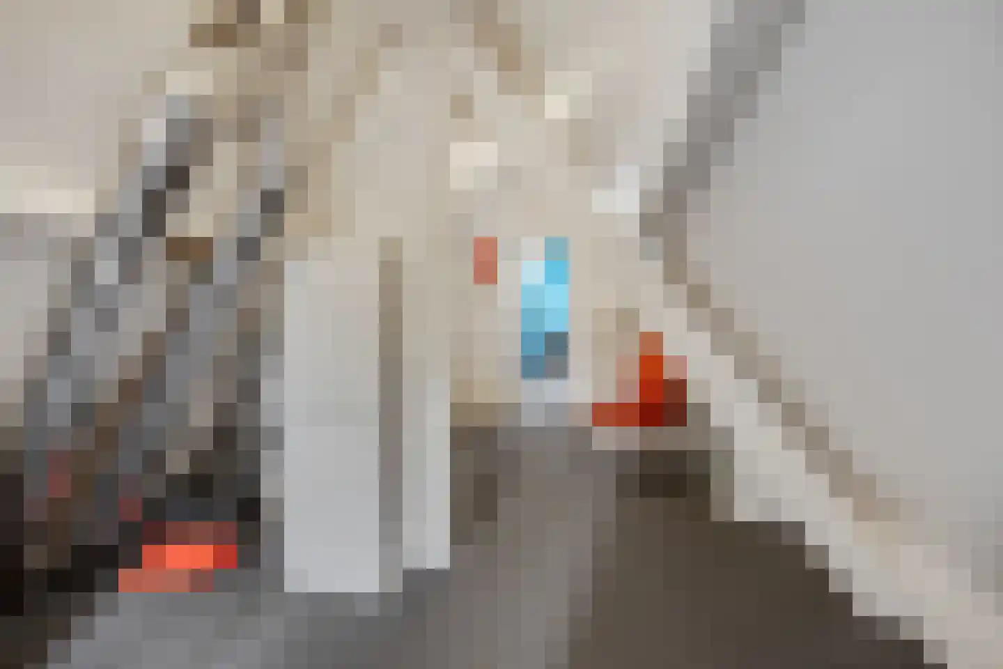 Korenbloemlaan 14 Ede thumbnail 40