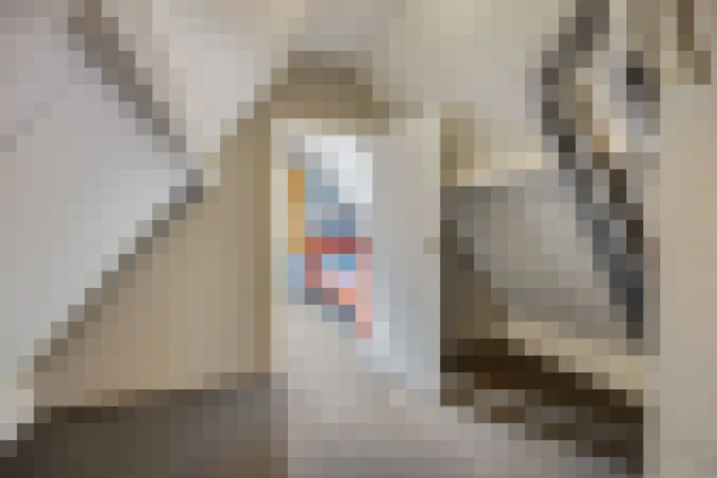 Korenbloemlaan 14 Ede thumbnail 41