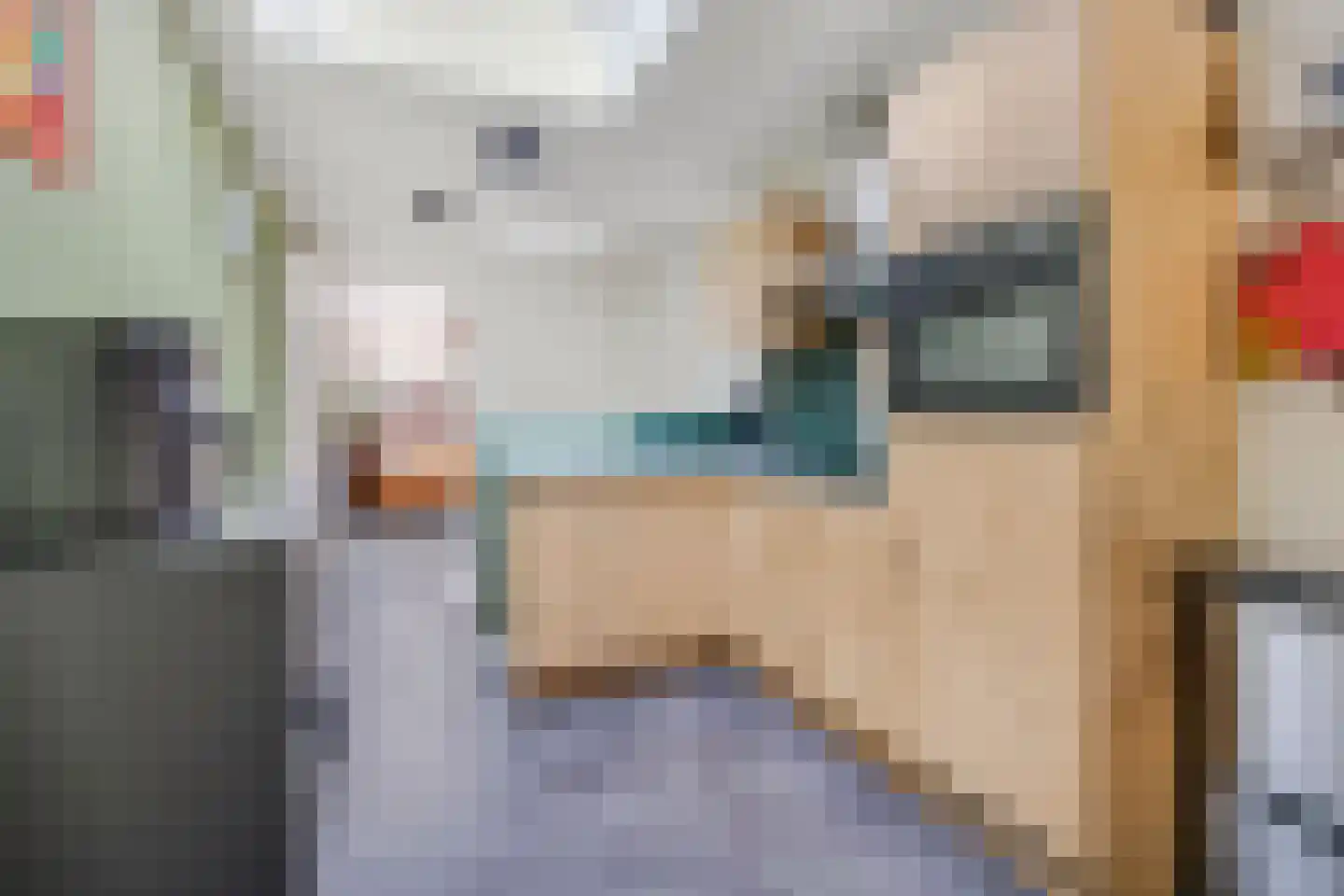 Korenbloemlaan 14 Ede thumbnail 48