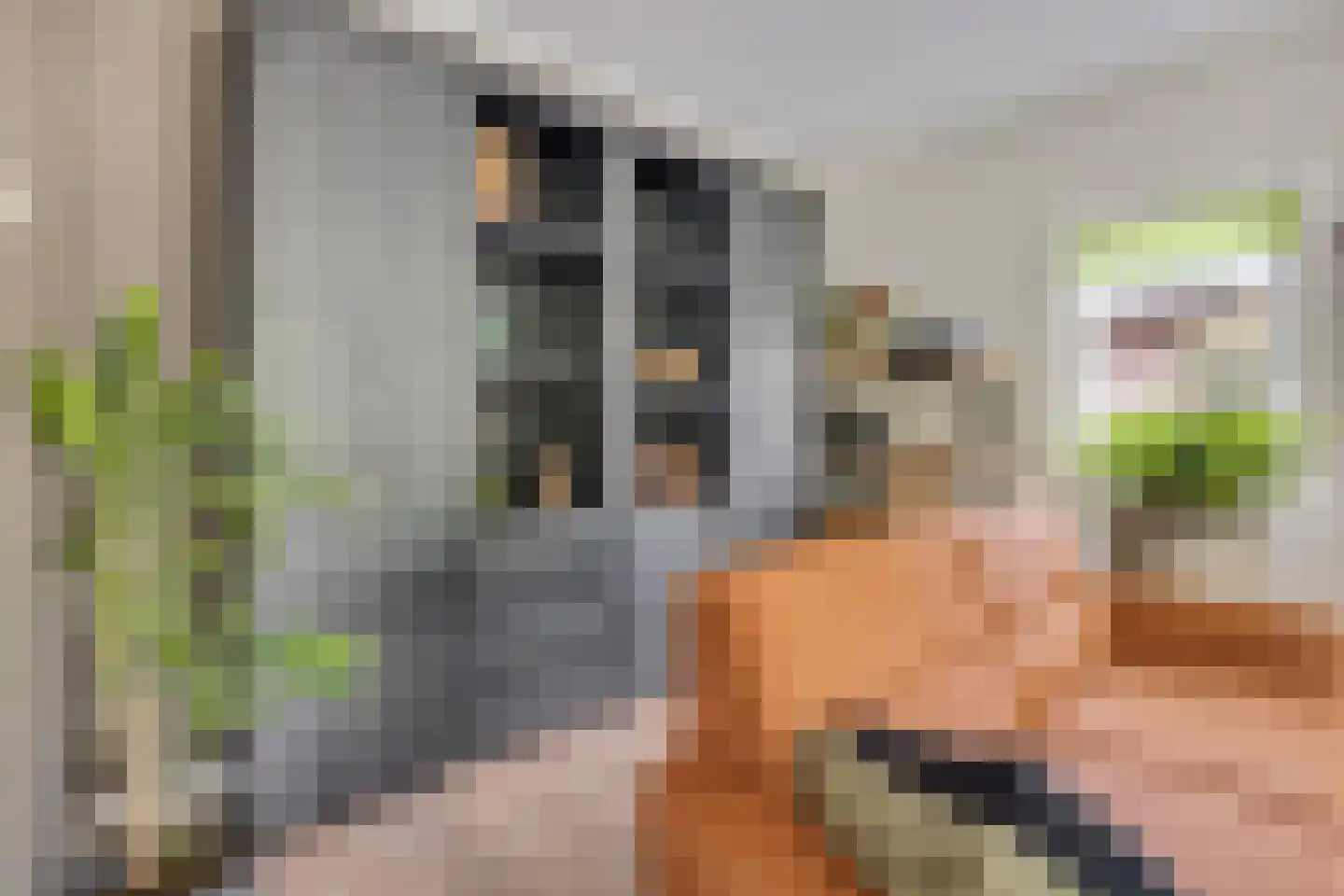Korenbloemlaan 14 Ede thumbnail 5