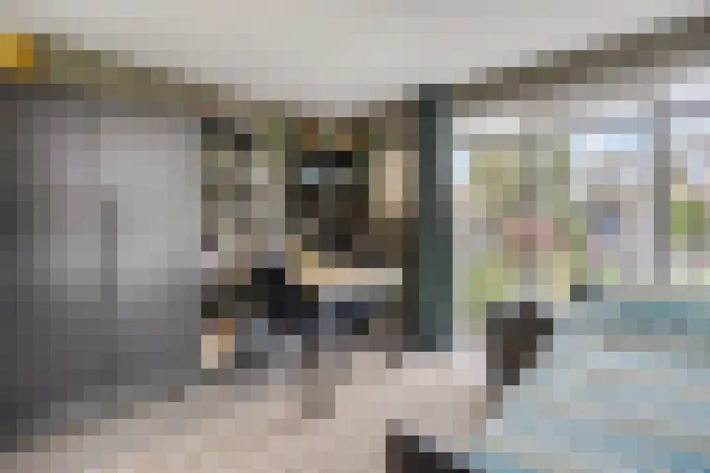 Korenbloemlaan 14 Ede thumbnail 57