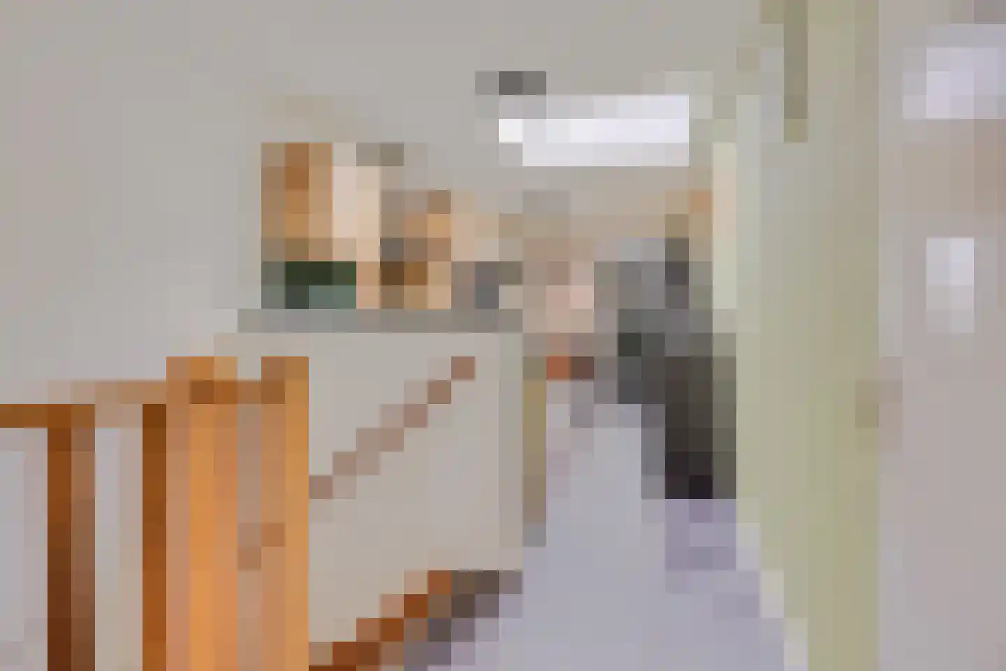 Korenbloemlaan 14 Ede thumbnail 59