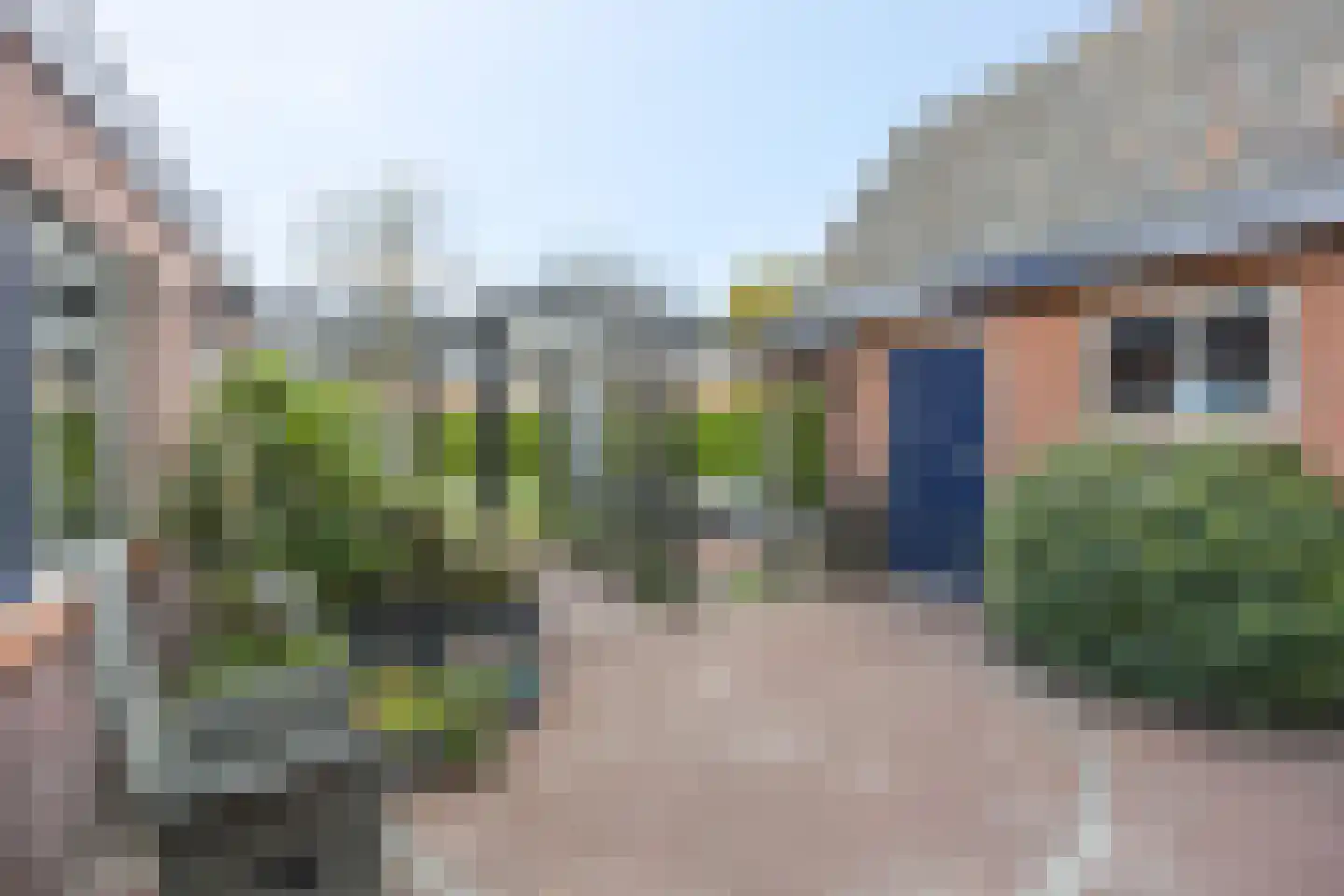 Korenbloemlaan 14 Ede thumbnail 66