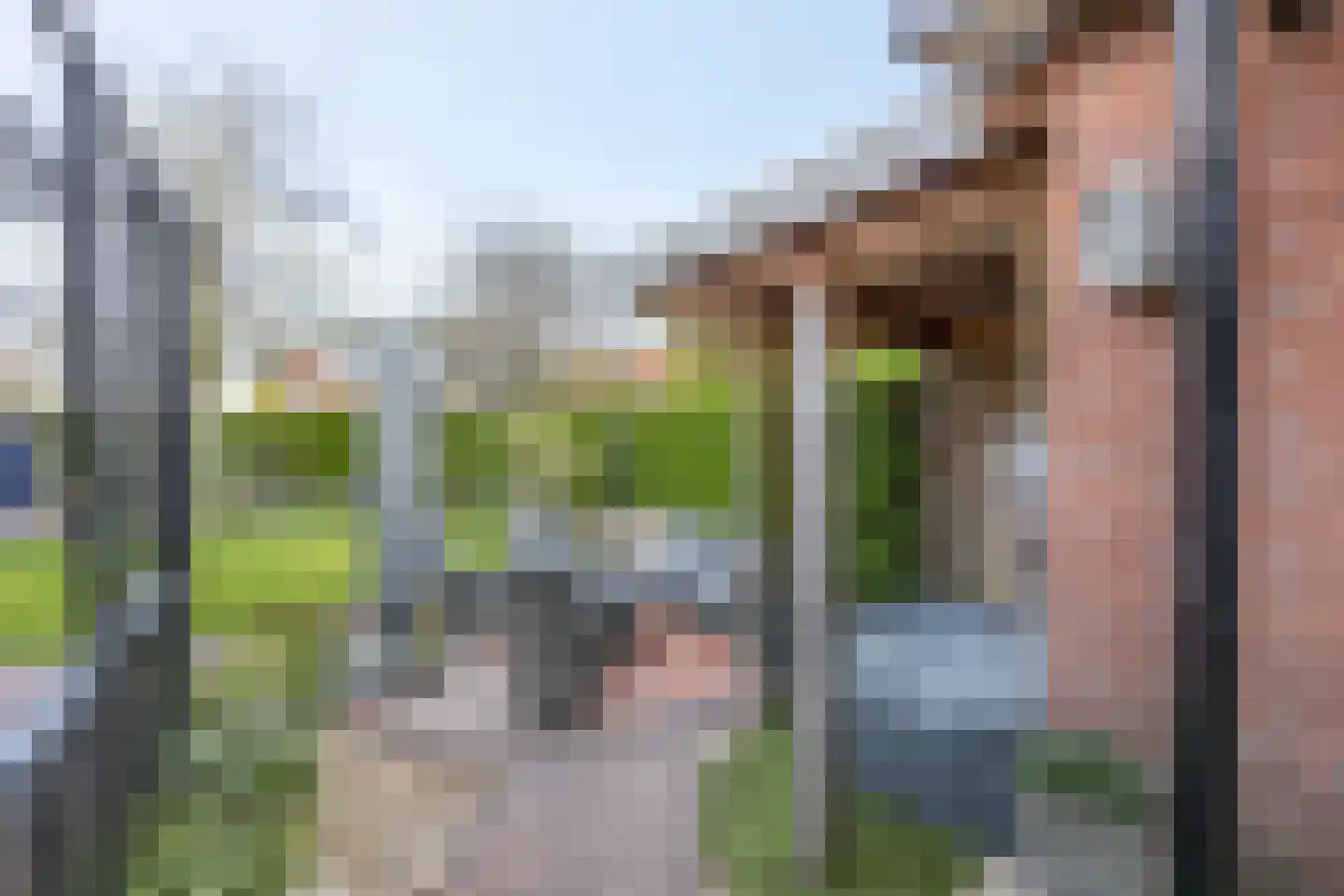Korenbloemlaan 14 Ede thumbnail 74