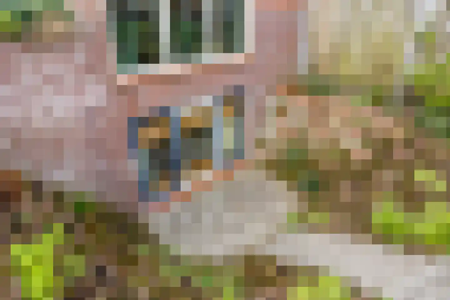 Korenbloemlaan 14 Ede thumbnail 84