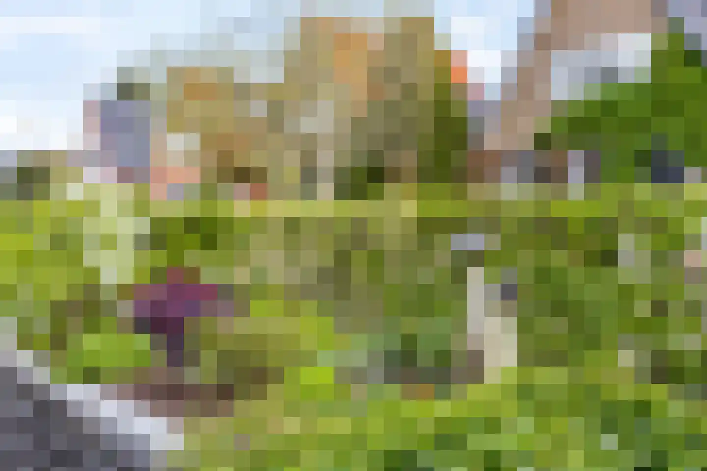 Korenbloemlaan 14 Ede thumbnail 92