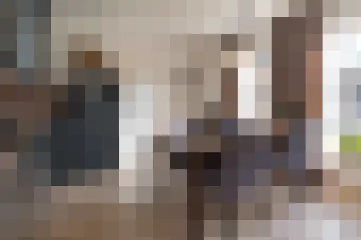 Korenbloemlaan 16 Hoeven thumbnail 14
