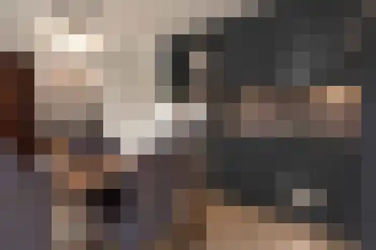 Korenbloemlaan 16 Hoeven thumbnail 15