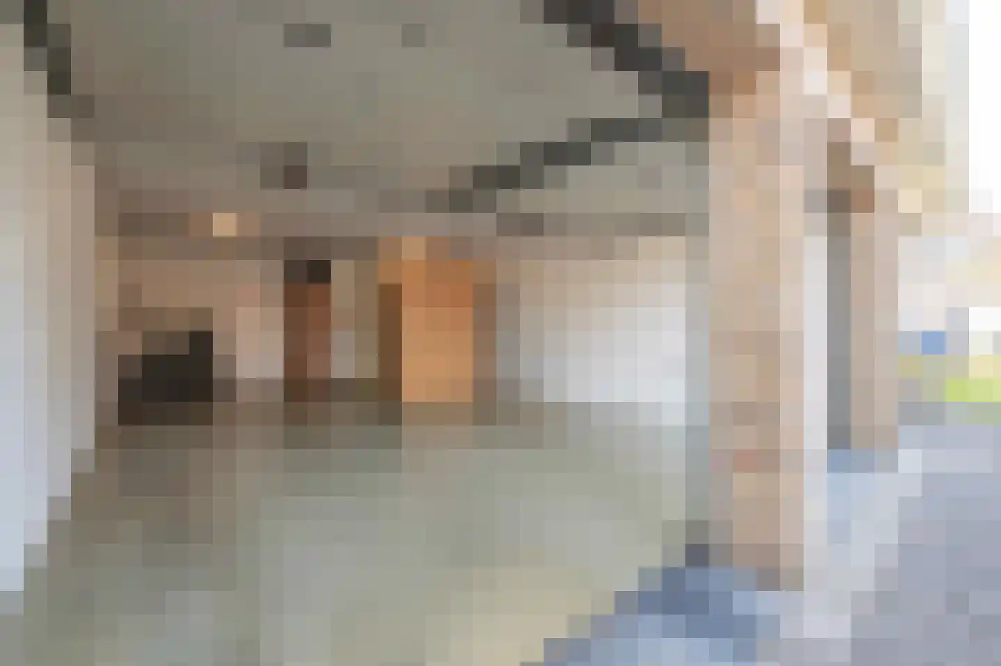 Korenbloemlaan 16 Hoeven thumbnail 19