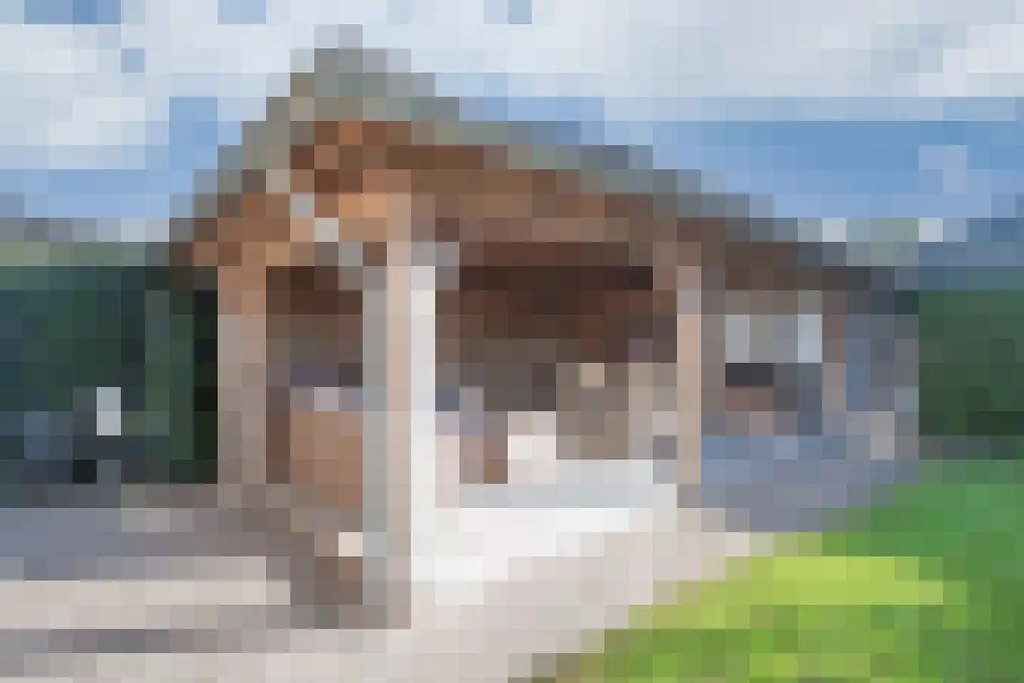 Korenbloemlaan 16 Hoeven thumbnail 21
