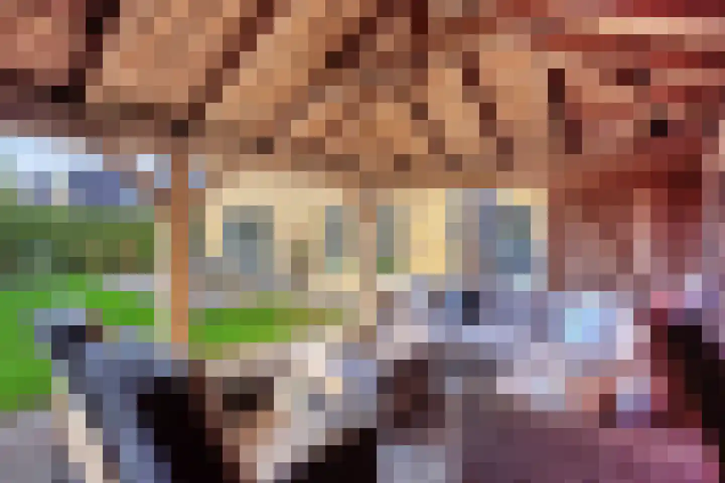 Korenbloemlaan 16 Hoeven thumbnail 22